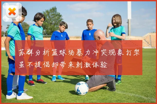 苏群分析篮球场暴力冲突现象打架虽不提倡却带来刺激体验