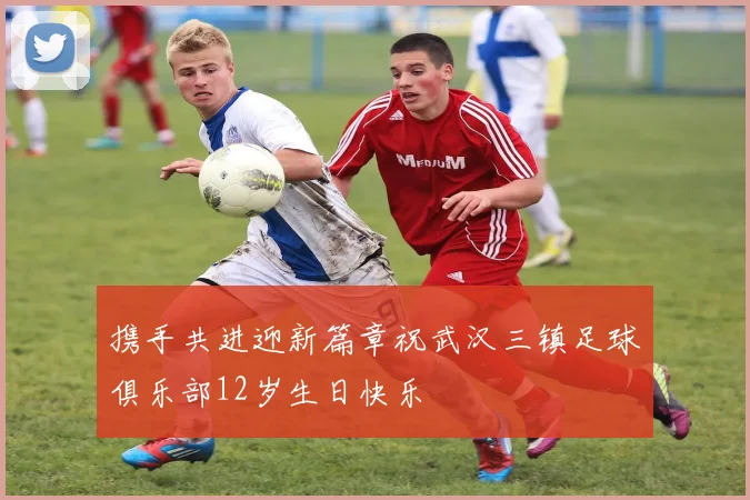 携手共进迎新篇章祝武汉三镇足球俱乐部12岁生日快乐