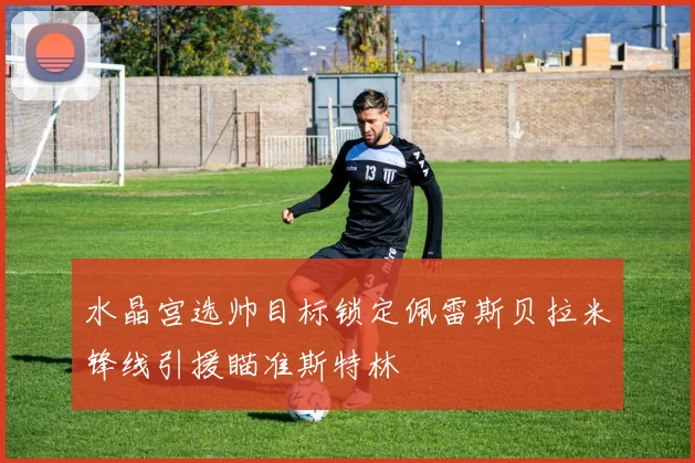 水晶宫选帅目标锁定佩雷斯贝拉米锋线引援瞄准斯特林