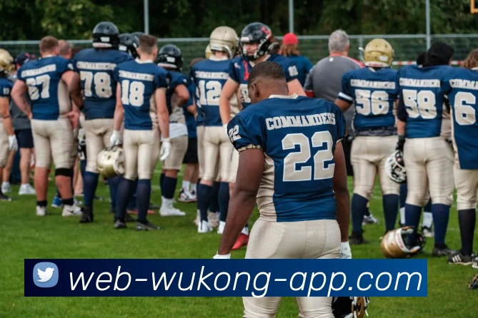 悟空体育平台生态图