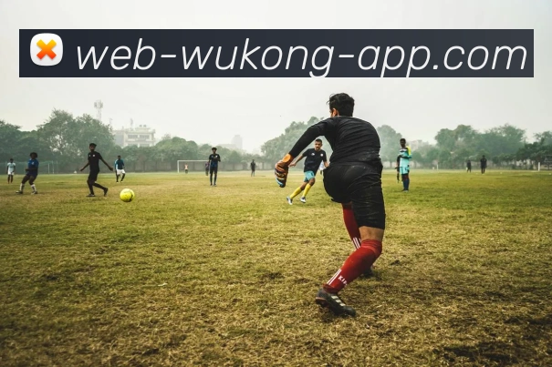 悟空体育APP 封面图