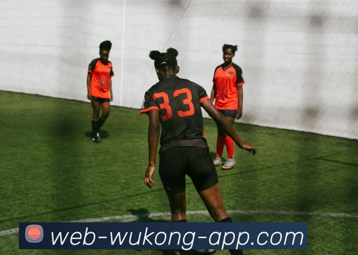 数据防护可视化